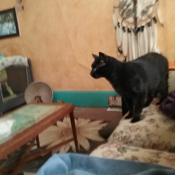 Meet your Posher, La veta - Picture 5 of 7